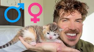 Joey Graceffa