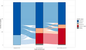 Image result for ECOG Performance Status