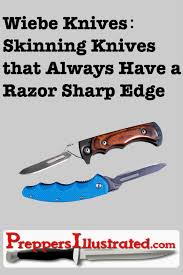 Image result for razor sharp knives