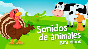 Que los alumnos resuelvan problemas. Sonidos De Animales Para Ninos De 1 A 2 Anos Nuevo Youtube