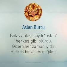 Oglak Burcu Ozellikleri Google Da Ara Burclar Aslan Burc Bilgileri