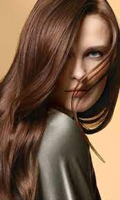 5b Brilliant Brunette Medium Chocolate Brown John Frieda Cabelo Lindo Cabelo