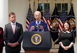 Image result for Bidens diversa