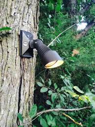 Pinnacle Lights Cast Aluminum Bronze Leo Well Light