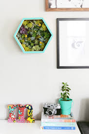 Snip cuttings from succulent plants at least one day before you begin the project. Modern Diy Succulent Wall Planter