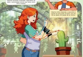 El cactus puede podrirse debido a los hongos que surgen cuando se riega en exceso.3 x fuente de investigación si la tierra está totalmente humedecida espera un poco para ver cómo reacciona a su nueva ubicación con más sombra. Si Un Joven Se Pincha El Dedo Con Un Captus Cual De Los Sistemas Nervioso O Endocrino Crees Que Brainly Lat