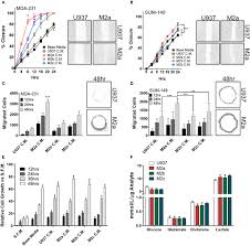It turned out to be stage iib invasive ductal cancer. Frontiers Il 4 Il 13 Stimulated Macrophages Enhance Breast Cancer Invasion Via Rho Gtpase Regulation Of Synergistic Vegf Ccl 18 Signaling Oncology