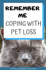 Remember Me Coping With Grief Of Pet Loss Life Cats Pet Loss Pet Loss Grief Cat Loss