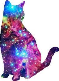 Image Result For Cat Wallpapers For Chromebook Galaxy Cat Animal Wallpaper Cat Drawing