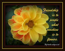 Check spelling or type a new query. Flower Quotes About Friendship Quotesgram