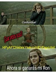 Hermione Granger Meme Memes Harry Potter Memes Espanol Harry Potter Memes