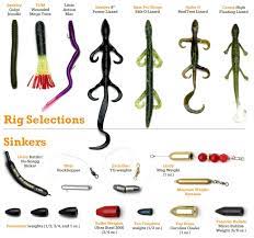 Power Bassin With Finesse Carolina Rigging For Bass Right Bass Fishing Fishing Tips Saltwater Fishing
