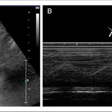 Isaiah W. Bloom's research works