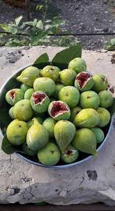 Pin De Mohamed Amegroud Em Fruits Frutas Tropicais Frutas E Vegetais Figos