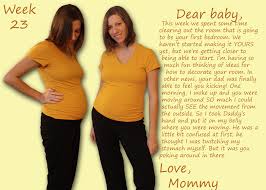 23 Weeks Pregnant Joyful Abode