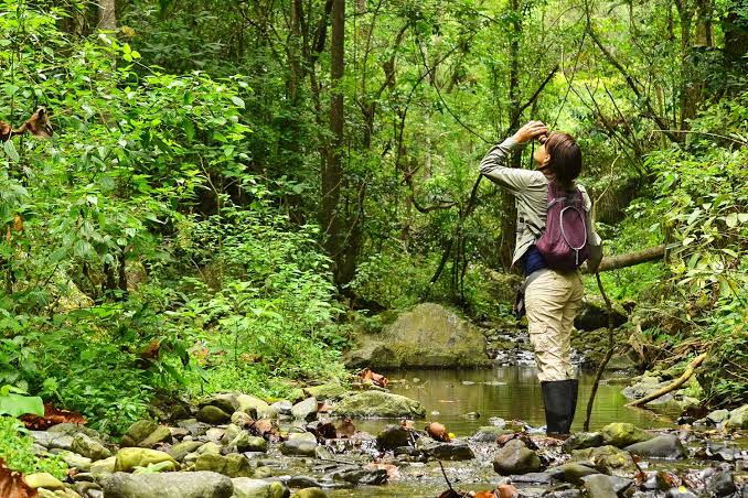World Nature Conservation Day - Ubuntu Magazine