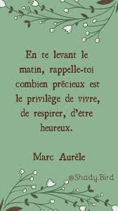 Citation Sur La Vie Et Le Bonheur Citation De Vie Citation Livre Citation