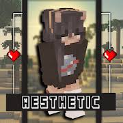 You play minecraft and want to know how to install certain mod? Descargar Skin Aesthetic For Minecraft V 4 0 0 Apk Mod Android