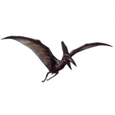 Image result for Pteranodon