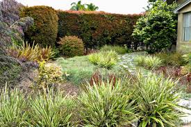 These five ideas will help help you save money within both this, and potential horticulture seasons. Garden Re Do Drought Tolerant California Coastal Yard