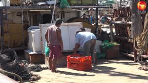 Soa, ns, a, and mx records no.307 which of the following is a hardware requirement that either an ids/ips system or a proxy server must have in order to properly function? Allintitle Mx Note Mx88bk 1359 Yamaha Mx88 Bk 88 Note Keyboard Post A Comment For Allintitle Karisma