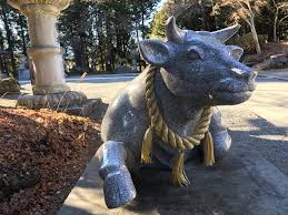 The first day of the chinese astrological year is different from chinese new. After A Year Of Anxiety What Can We Expect From The Year Of The Ox In 2021 The Japan Times