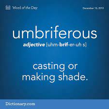 The Origin Of This Word Is From The Latin It Comes From The Latin Word Umbra Which Means Shade Or Shadow Another Weird Words Uncommon Words Unusual Words