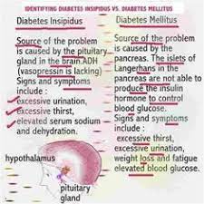 23 Diabetes Insipidus Ideas Diabetes Insipidus Diabetes Diabetes Management