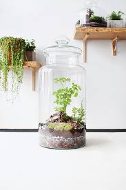 Schau dir unsere auswahl an garten im glas an, um die tollsten einzigartigen oder spezialgefertigten handgemachten stücke aus unseren shops für blumenarrangements zu finden. Garten Im Glas Gartenzauber