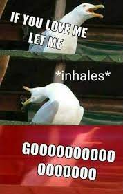 Pin By Samantha Ashton On My Stupid Taste In Humor Really Funny Memes Funny Relatable Memes Funny Memes Images