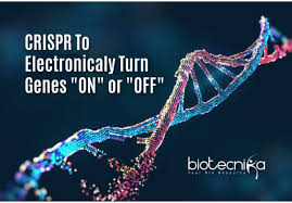 Connecting Biology With Electronics Via Crispr By Umb Researchers Systems Biology Electronic World Biology