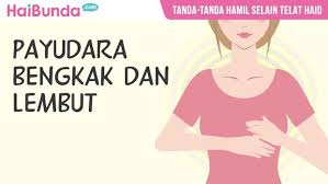 Tu harga satu upt tau. Kenali Yuk Bun Tanda Tanda Hamil Selain Telat Haid