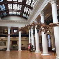 The Alabama Museum Of Natural History 4 Tips From 101 Visitors