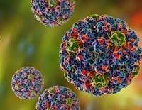 A pap smear can help detect changes in the cervix caused by hpv. What Is Hpv