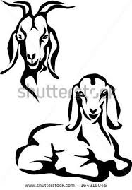 Black And White Goat Vector Goat Outline Vector Google Search Goat Art Goats Black And White Illustration