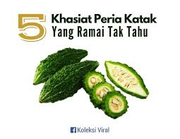 Haritu 17, sekarang dah 8. Peria Crispy 5 Khasiat Peria Katak Yang Ramai Tak Tahu Facebook