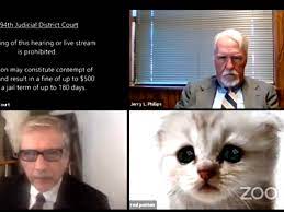 A texas lawyer accidentally left a kitten filter on during a video conference call with a judge and was unable to change it, eventually responding to a judge's query about why he was being addressed by a digital i am not a cat. the coronavirus has prompted many computer mishaps, as many of the. I M Not A Cat Texas Lawyer Trapped By Cat Filter Informs Judge On Zoom Call