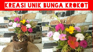 Membuat tempat tidur bunga dan tempat tidur bunga di dekat rumah dengan tangan anda sendiri foto foto indah bunga di halaman pribadi cara membuat taman bunga di rumah anda sendiri taman bunga : Berkreasi Dengan Tanaman Krokot Bonsai Bunga Krokot Warna Warni Bikin Gemes Cute766