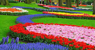  Wallpaper Pemandangan Bunga Sakura Wallpaper Pemandangan Wallpaper Pemandangan Bunga Sakurahttp Beautiful Flowers Garden Most Beautiful Gardens Famous Gardens
