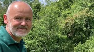 Ash dieback disease ravages Northern Ireland's native trees