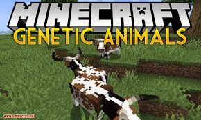 скачать мод на майнкрафт 1 12 2 на камеру видеонаблюдения Genetic Animals Mod 1 14 4 Adds Better Looking Models For Animals Minecraft1144mods In 2020 Minecraft Genetics How To Look Better