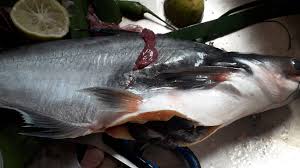 Bagaimana kalau membuat garang asem patin. Garang Asem Ikan Patin Kreasi Masakan Istri Halaman All Kompasiana Com