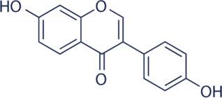 Image result for Equilabium selukwense