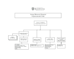 flow chart layout in word 30 beautiful organizational