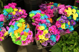 Discount items can include clothing, toys, flowers and gifts. Jewel Osco On Twitter Looking For A Way To Brighten Someone S Day Stop By The Floral Department And Pick Up One Of These Beautiful Bouquets They Re Sure To Bring A Smile To Anyone S