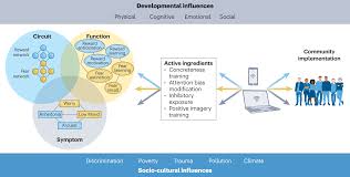 Image result for Higher Integrative Function