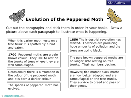 We did not find results for: Peppered Moth Snapshot Science
