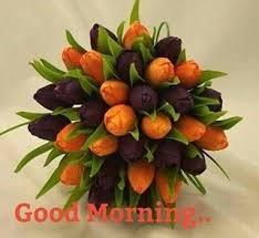 Pin By Cathy Mitchell On Goodmorning Tulip Wedding Wedding Flowers Tulips Purple Wedding Bouquets