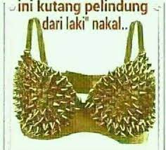  Kutang Foto Lucu Gambar Lucu Lucu