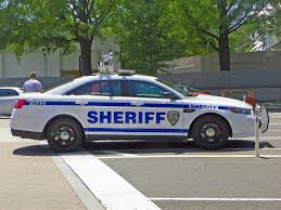 Pin On Cops